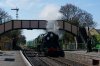 DSC00278_1.jpg
