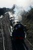 DSC00291_1.jpg