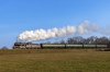 _DSC2854.jpg