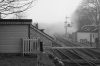 DSC_0226r.jpg