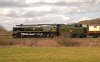 002-35028-13.51-Dover-Priory-at-Etchden-Lane-28Mar-2025.jpg