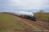DSC_1642.JPG