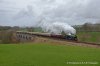 DSC_1655.JPG