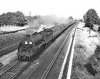 101-30507-Down-Basingstoke-local-New-Malden.jpg