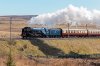 Blue-Peter-(48)-Shap-Wells-fbook.jpg