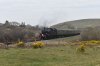 DSC_0461r.JPG