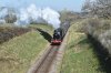 DSC_0498r.JPG