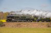 005-35028-13.51-Dover-Priory-at-Etchden-Lane-10Apl-2025.jpg