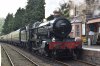 DSC_0769.JPG