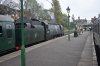 DSC_0559r.jpg