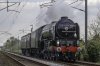 _MG_5818-Edit.jpg