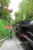 Tank waiting for the road res.JPG