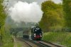 1943 35028 approaching Milford 26-04-25.jpg