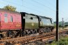 34067-(53)-fbook.jpg