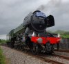 Scotsman profile 1.JPG