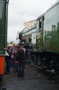 DSC00479.jpg