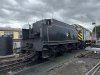 IMG_7019.jpeg