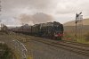 Duchess TC 1a.jpg
