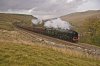 Duchess TC 4a.jpg
