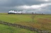 DSC_6997.JPG