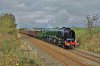DSC_7044.JPG