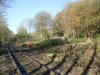 DSCF2664a.jpg