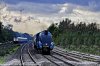 _DSR13225_DxO_2_01.JPG