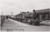 2874TYSMM (Small).jpg