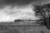 EOS 5D Mark III_8959_DxO.jpg