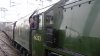 S2510045.JPG