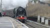S2510050.JPG