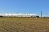 DSC_7496.JPG