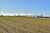 DSC_7510.JPG