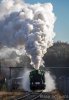 IMG_0147-0.jpg