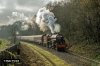 ELR_NOV_4754.jpg