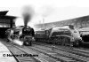 46256+60009_HOWARD_MALHAM.jpg