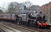 steam 2312 009-crop.jpg