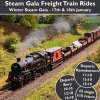 Freight Train Steam Gala WEB.jpg