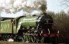 60103_1_Willington_21.03.1987_1.jpg