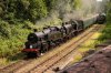 073-80011+31803-Groombridge-Jctn-on-15.30-Eridge-15June-2025.jpg