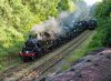 107-41319+80011+34050+31803-Groombridge-Jctn-on-18.30-Eridge-15June-2025.jpg