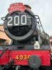 IMG_5293.jpeg