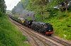038-80011+41319+D-front+34050+31803-rear-Gr’dge-Jctn-17.45-TWW-15June-2025.jpg