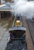 428 No 65 Sheffield Park 14-01-23.jpg