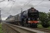 _MG_9258-Edit.jpg