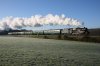 IMG_3553.jpg