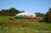 DSC_7959.JPG