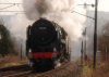 steam-loco