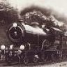Lady Hamilton 8783