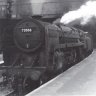 sussex scot